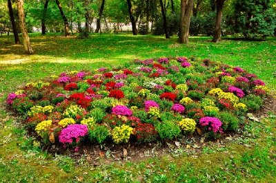 Flowers In The Park jigsaw puzzle