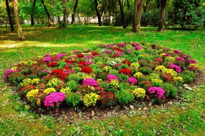 Flowers In The Park