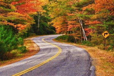 Sinuoso camino de otoño