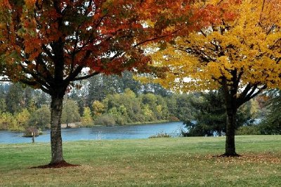 Arces de otoño