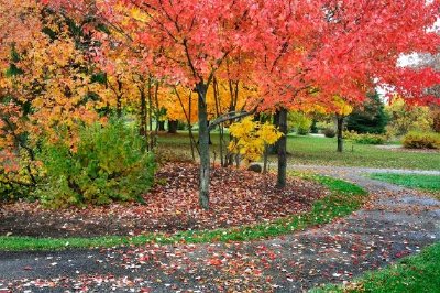 Autumn Walkway jigsaw puzzle