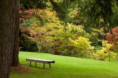 Tranquil Garden