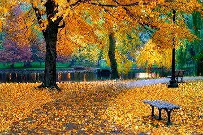 Autumn in Boston Public Garden  jigsaw puzzle