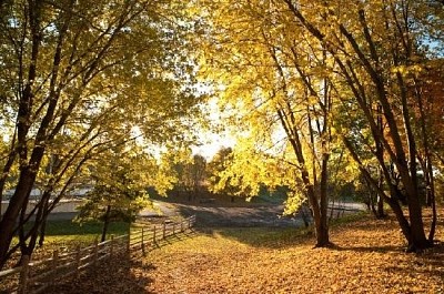 Caída en Ontario, Canadá