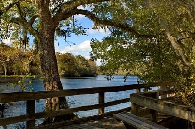 Passerella sul fiume Suwannee, Georgia, USA