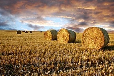 Strohrollen und dramatischer Himmel