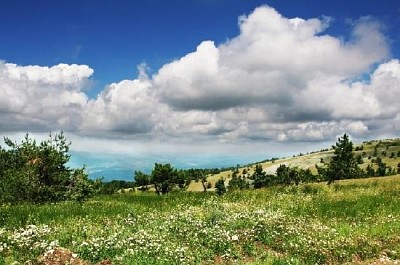 Prato di montagne