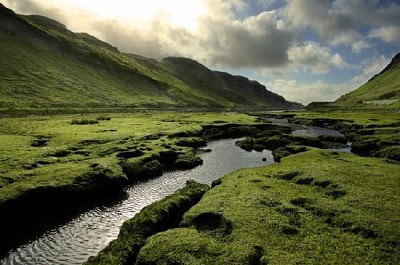 蘇格蘭山谷的春天