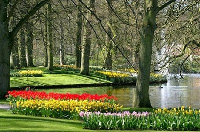 Spring in Park