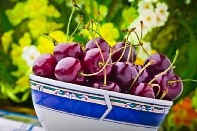 Sweet Cherries in a Bowl