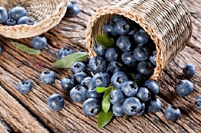 Blueberries jigsaw puzzle