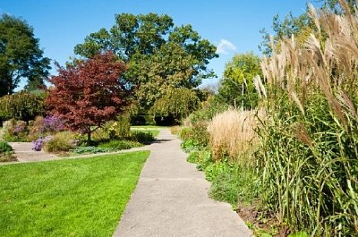 Passerelle dans le jardin