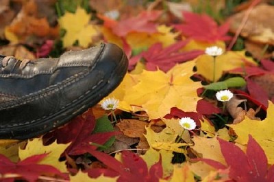 Walking on Foliage jigsaw puzzle