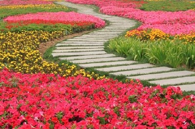 Chemin de jardin