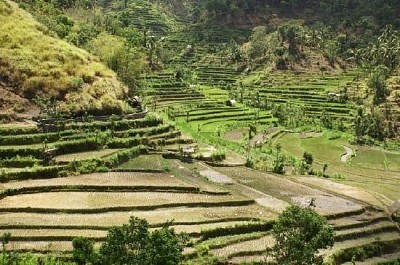 Terrazas de arroz