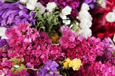 Fleurs d'été se bouchent