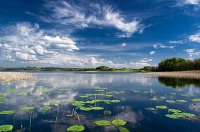 Lake with Water Lillies jigsaw puzzle