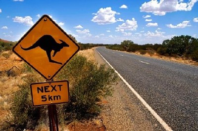 Signo de canguro, Australia