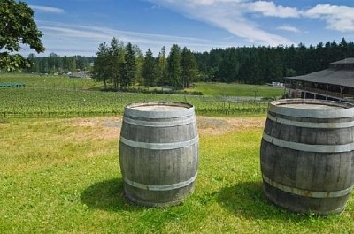 Azienda vinicola