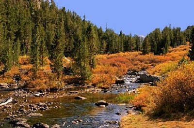 Rocky Creek jigsaw puzzle