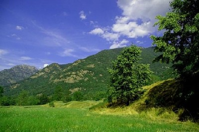 Paysage d'été