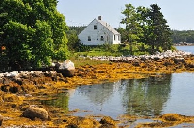 Waterfront House jigsaw puzzle