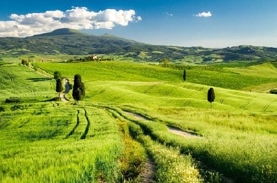 イタリア、トスカーナの田園地帯の歩道