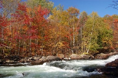 Waterfall in Autumn jigsaw puzzle