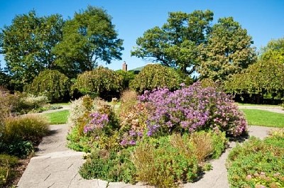 Jardins de outono em High Park