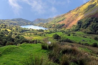 Llyn Gwynant, Storbritannien