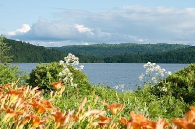 Изглед към езерото с цветя