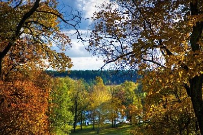 Im Herbst parken