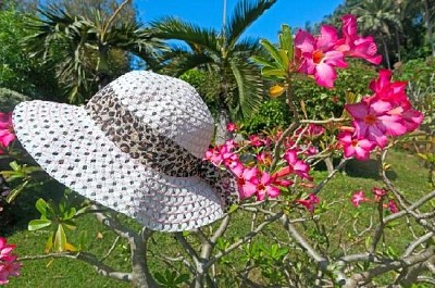 Fiori e un cappello