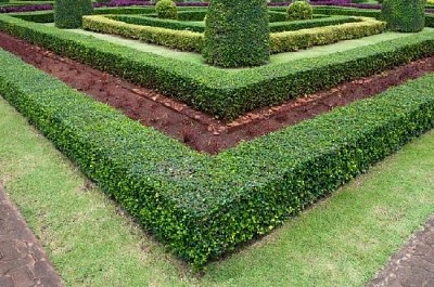 Formal Garden jigsaw puzzle