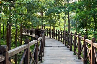 Puente de madera