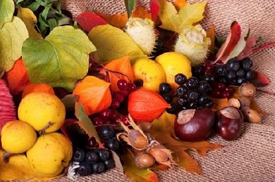 Colorful Autumn Arrangement