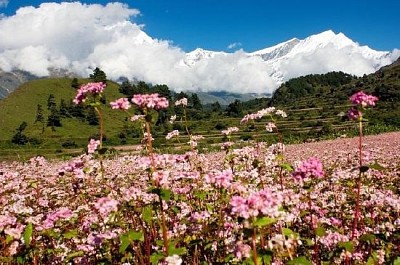 Изглед на Анапурна, Непал