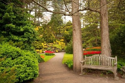 Sit in a Garden Delight