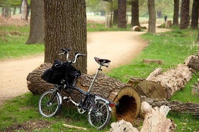 Fällbar cykel i parken