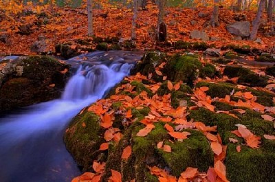 Pequeña cascada de otoño
