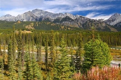 Bow River und kanadische Rockies