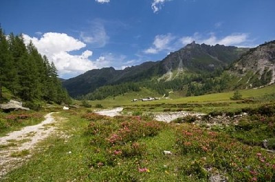 Krajobraz Alp