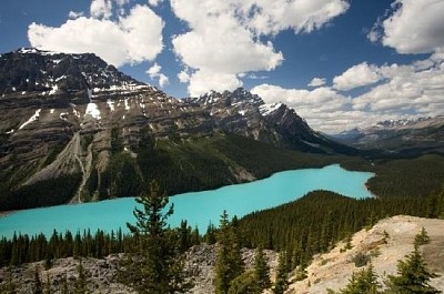 Lac Peyto, Rocheuses canadiennes