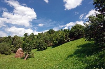 Paesaggio di campagna