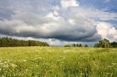 Облачно небе върху поле от цветя