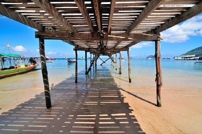 Bajo un puente de madera