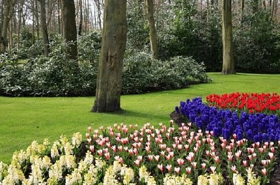 Frühling im Park