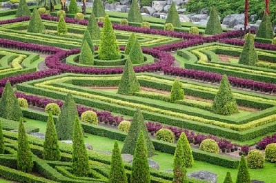 Ornamental Plants in Nature Garden jigsaw puzzle