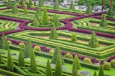 Plantas ornamentales en el jardín de la naturaleza