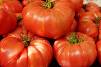 Röda tomater